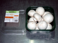 专业生产双孢菇养殖网  尼龙拖网  菇房空调网 厂家直销图2