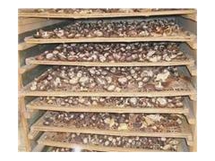 香菇热泵烘干机图2