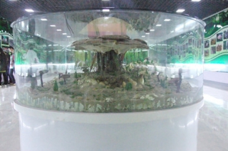 河北菇農(nóng)自建菌文化科技館 ()