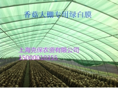 上海食用菌绿白膜电话，上海食用菌绿白膜供应图3