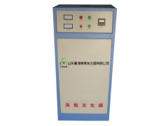 鞍山外置式臭氧发生器图1