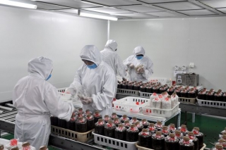 河北寬城縣：引資1500萬元建設(shè)食用菌深加工產(chǎn)業(yè) ()