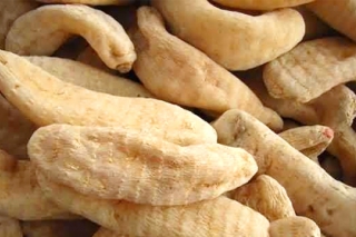 貴陽天麻進(jìn)入國家新食品原料申請程序 ()