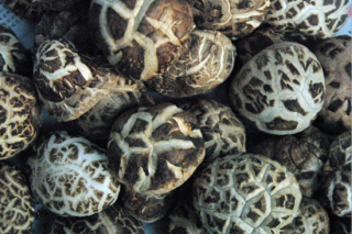 湖北隨州：深加工助食用菌產(chǎn)品進(jìn)軍歐美市場 ()