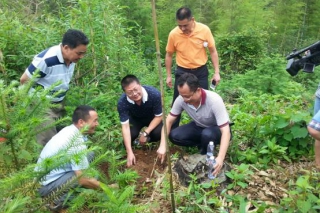 貴州茯苓：地方種植章程定制　通過專家評審 ()