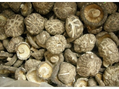 香菇批发、批发香菇、干香菇价格、香菇批发市场、香菇批发价格图1
