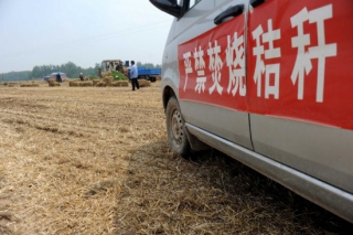 安徽加入秸稈發(fā)展食用菌“大軍” ()