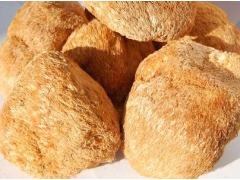 猴头菇烘干机图2