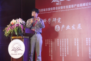 謝放：幾個(gè)冬蟲夏草相關(guān)菌株的研究 ()