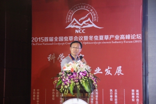 李春如：走近大蟬草 ()
