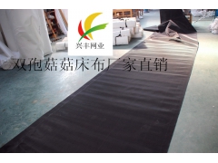 双孢菇菇床布图3