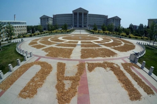 吉農(nóng)學(xué)生廣場上晾曬金針菇 似八卦陣 ()