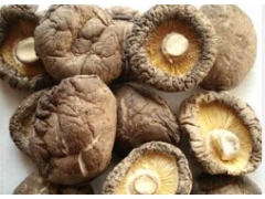 干香菇批发、新鲜香菇批发价格、花菇批发、香菇批发价格、新鲜图1