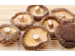 香菇批发价格、香菇价格、干货香菇价格、黑木耳批发、香菇批发网图1