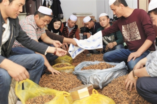 玉樹：每年將拿出2000萬資金幫扶企業(yè) 蟲草產(chǎn)業(yè)將收益 ()