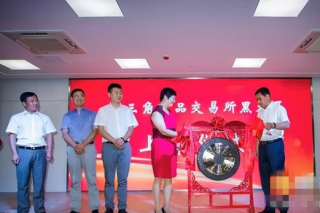 長(zhǎng)三角商品交易所為黑木耳品種舉行上市敲鑼儀 ()