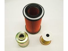 FLOW EZY滤芯 P10-3/4-100液压油过滤器图1