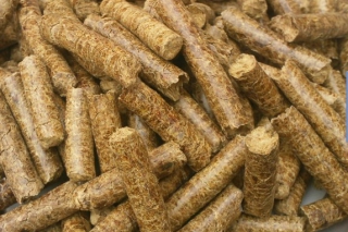 河北遵化：廢棄菌棒變“搶手貨” ()