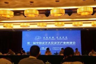 浙江：專家匯聚一堂 為龍泉靈芝產(chǎn)業(yè)把脈 ()