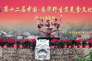 云南：第十二屆中國·南華野生菌美食文化節(jié)交易額達(dá)1.71億元 ()