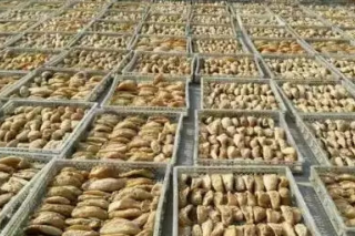 甘肅：天麻生產(chǎn)基地獲國家千萬元專項資金支持 ()