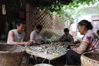 云南開遠(yuǎn)：姬松茸種植成農(nóng)戶增收新亮點 ()