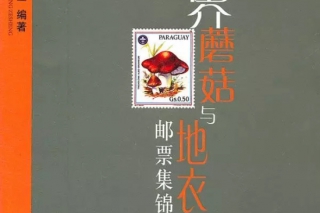 2015看菌博：一場蘑菇人的饕餮盛宴 ()