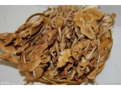 长年销售，福建省宁德市古田县原产“茶树菇”图1