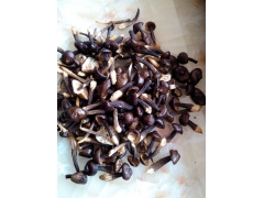 四川叙永黑皮鸡枞菌图3