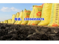 干鸡粪培育蘑菇,鸡粪可以作为蘑菇的基质量,发酵鸡粪图1