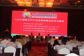 中国黑木耳产业发展高峰论坛嘉宾对话 (1)