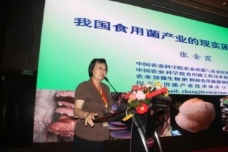 张金霞:我国食用菌产业并未真正强大起来 仍然脆弱