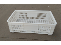 蘑菇周转筐,塑料辣椒筐,蘑菇筐价格图1