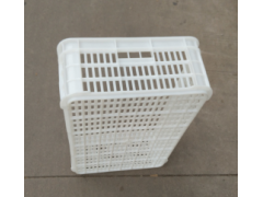 蘑菇周转筐,塑料辣椒筐,蘑菇筐价格图2