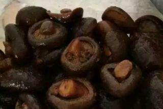 當(dāng)香菇遇上周黑鴨 ()