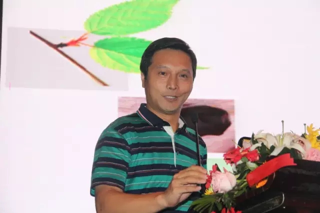 戴肖东