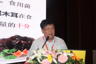 齐振东:国内食用菌产业有大企业无大品牌