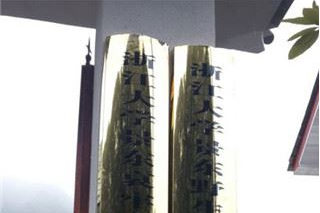 云南：“浙江大學景東野生菌研發(fā)中心”正式掛牌成立 ()