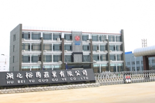 湖北隨縣：裕國菇業(yè)獲批省創(chuàng)新型企業(yè) ()