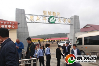 吉林：敦化黑木耳大市場正式開業(yè) ()