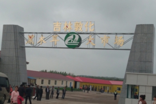 吉林：“敦化市黑木耳交易市場”投入使用 ()