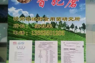 山西省人大教工委領導考察忻州市沐野食用菌研究所及五臺山野生馴化新品種‘香妃蘑’ ()