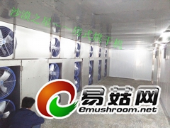 香菇烘干设备、食品烘干设备----高效、节能图2