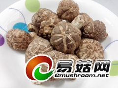 食用菌烘干设备、食品烘干设备----高效、节能图3