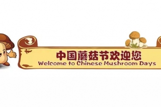 關(guān)于舉辦第三期“現(xiàn)代雙孢蘑菇栽培”企業(yè)中、高層管理人員培訓(xùn)班的通知 ()