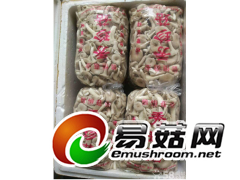 长期大量供应新鲜的食用菌（如：姬菇）图1