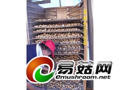 食用菌烘干机 香菇金针菇平菇茶叶百合金银花豆角烘干机图3