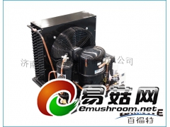 谷轮半封闭机组图3