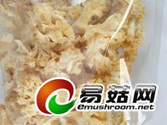 福建地区具有口碑的绣球菌|宁波万菇之王图1