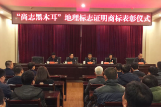 黑龍江“尚志黑木耳”獲地理標志證明商標獲50萬元獎勵  產(chǎn)品年末上市 ()